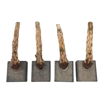 Jeu de balais charbon pour démarreur BOSCH 0001263004