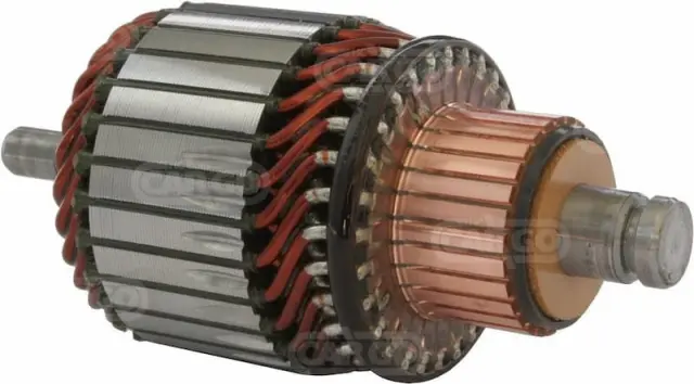 Induit BOSCH pour BOSCH et 1004011212