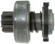 CAO131995