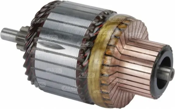 Induit compatible pour démarreur CARGO 331971